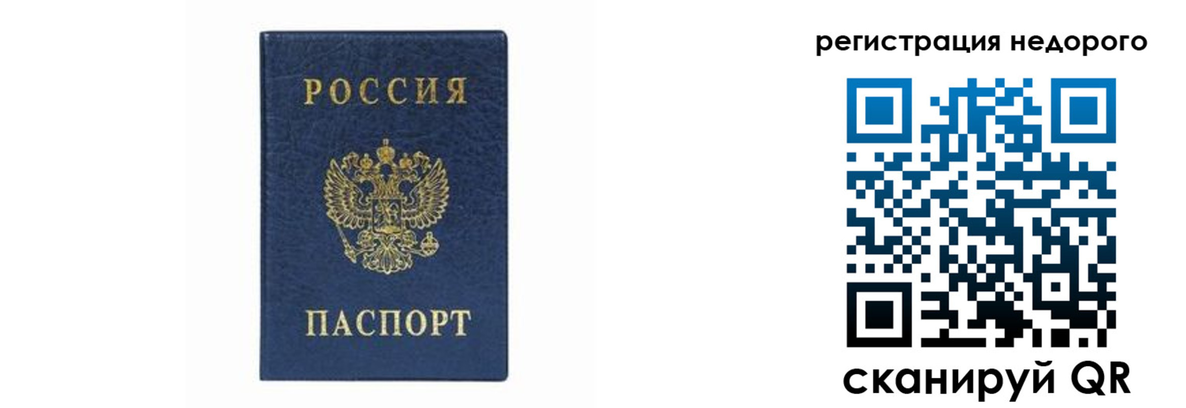 прописка штамп в Мурманске